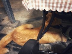 -晓院餐厅