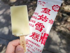 -长白岛森林公园