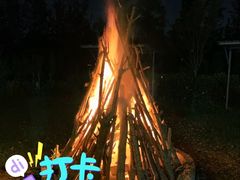 -前小桔亲子创意农场·草莓采摘·露营烧烤