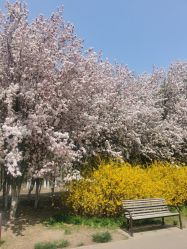 -北京亚运村美中宜和妇儿医院