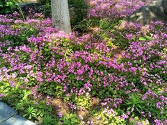 -青岛嘉年华主题乐园