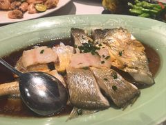 -荟廷·晶萃(陆家嘴尚悦湾店)
