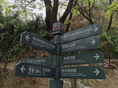 -延安杨家岭革命旧址