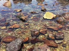 -西涌国际滨海旅游区