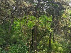 -沈阳辉山风景区