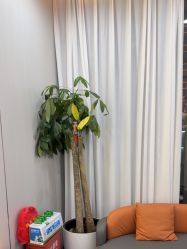 -苗医生0感祛痘连锁