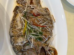 -茅台国际大酒店