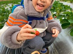 -尚果生态采摘园