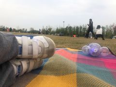 -上海长兴岛郊野公园