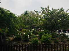 -江南大学(蠡湖校区)