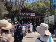 -野象谷景区