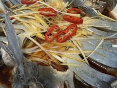 -煲来饱去冷水鱼