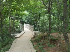 -崂山巨峰游览区