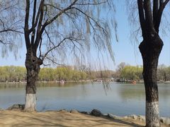 -二一九公园