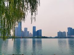 -天鹅湖体育公园