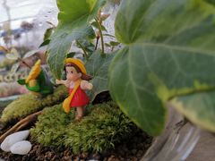 -三圣花乡旅游区