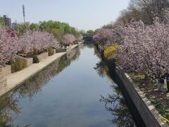 -海棠花溪(元大都城垣遗址公园)