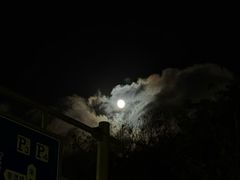 -普陀山慧济禅寺