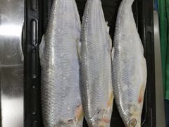 -芦潮港集贸市场