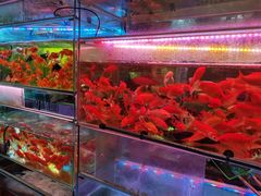 -双季花艺园艺市场(浦东店)