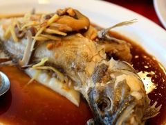 清蒸东星斑-大茄来海鲜餐厅(亚洲城分行)