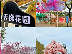 -盈香心动乐园