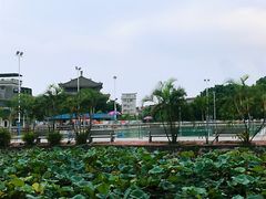 -碧江民乐公园