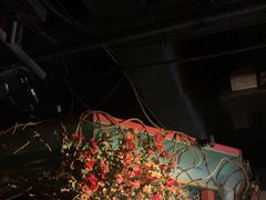 -纳瓦新疆菜(银都店)