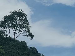-西湖风景区十里琅珰-五云山