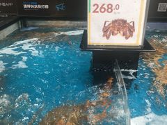-盒马鲜生(曜一城店)