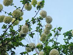 -大龙山(地铁站)