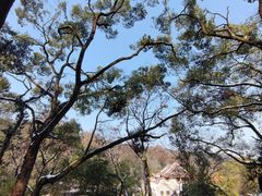 -岳麓山风景名胜区