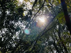 -南山风景名胜区