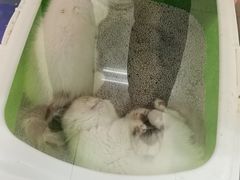 -乐宠宠物店(世纪金源店)