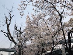 -上海南浦大桥长途旅游客运站