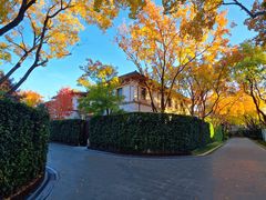 -龙湖星悦荟(颐和店)