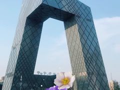 -中央广播电视总台(光华路办公区)