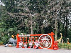 -深圳野生动物园