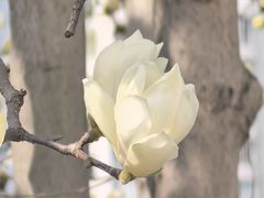 -西湖文化广场