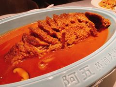 红烧黄河鲤鱼-阿五黄河大鲤鱼(纬三路店)
