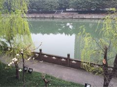 iphone_upload_pic-望江楼公园