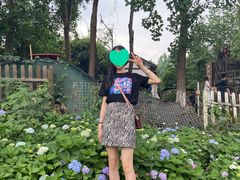 -三圣花乡旅游区