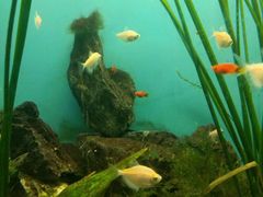 -多彩贵州城极地海洋世界