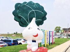 -上海都市菜园