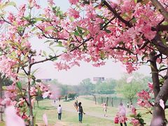 -钟山体育运动公园