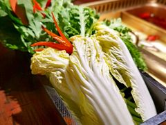 -九鼎轩脆毛肚火锅(三钢里店)