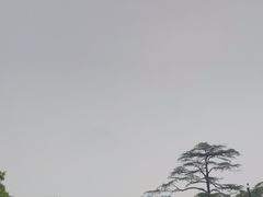 -浙江大学(玉泉校区)