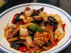 -金锅小厨(乐活街店)