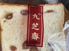 -九芝斋(解放路店)