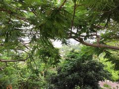 -炮台山公园